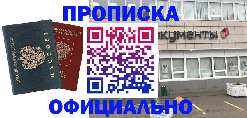 прописка поиск в Мытищах